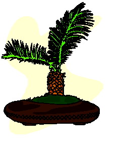 Bonsai clip art