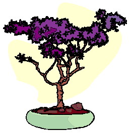 Bonsai clip art