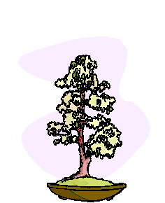 Bonsai clip art