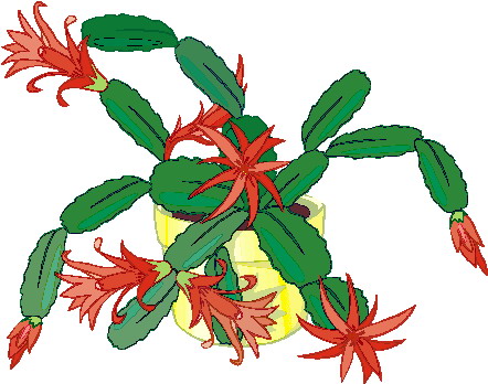 Cactus clip art