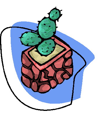 Cactus clip art