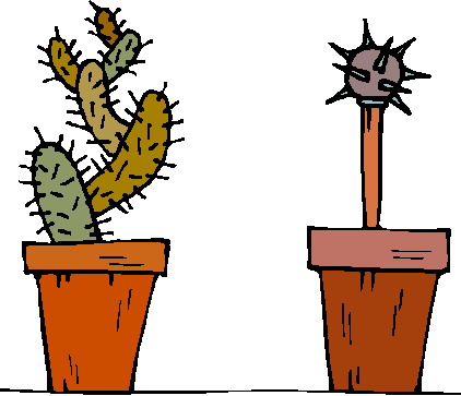 Cactus clip art