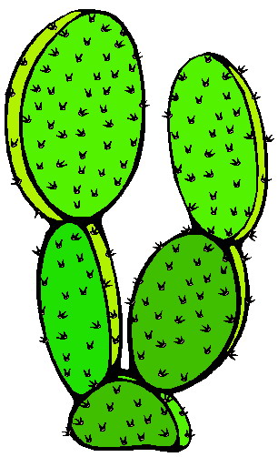 Cactus