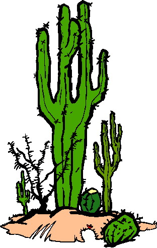 Cactus clip art