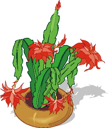 Cactus clip art