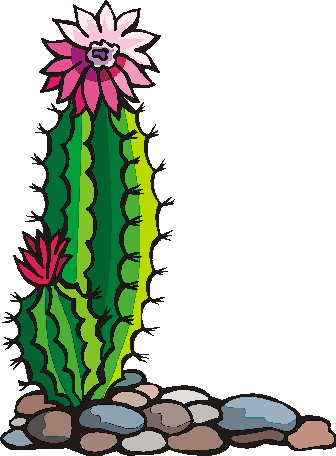 Cactus clip art