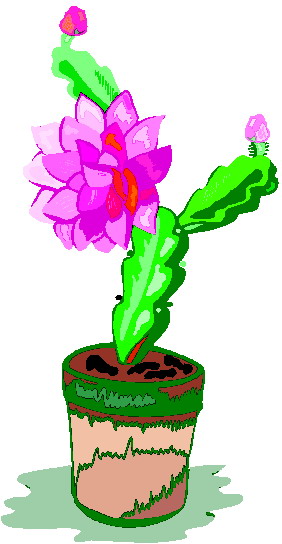 Cactus clip art