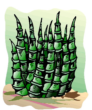 Cactus clip art