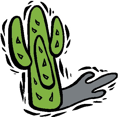 Cactus