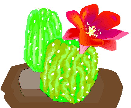 Cactus