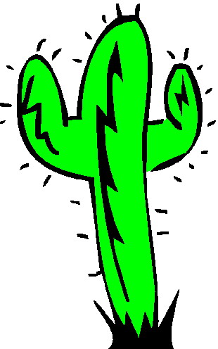 Cactus