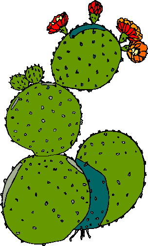 Cactus clip art