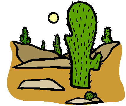 Cactus