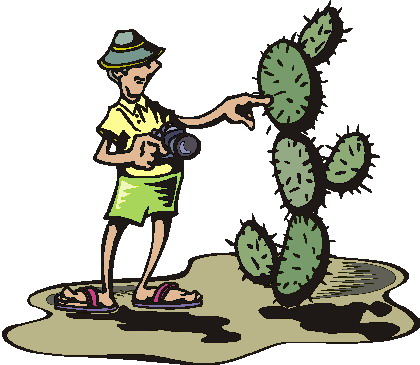 Cactus clip art