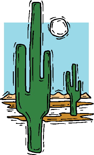 Cactus