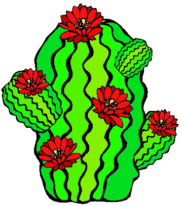 Cactus