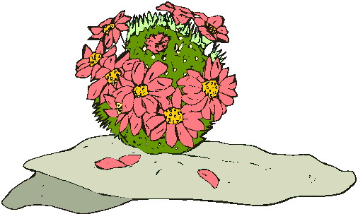 Cactus clip art