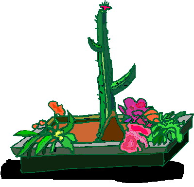 Cactus clip art