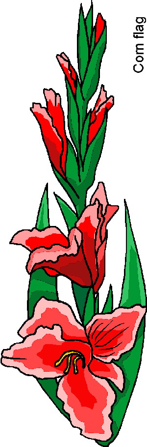 Flowers clip art