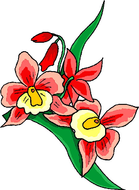 Flowers clip art