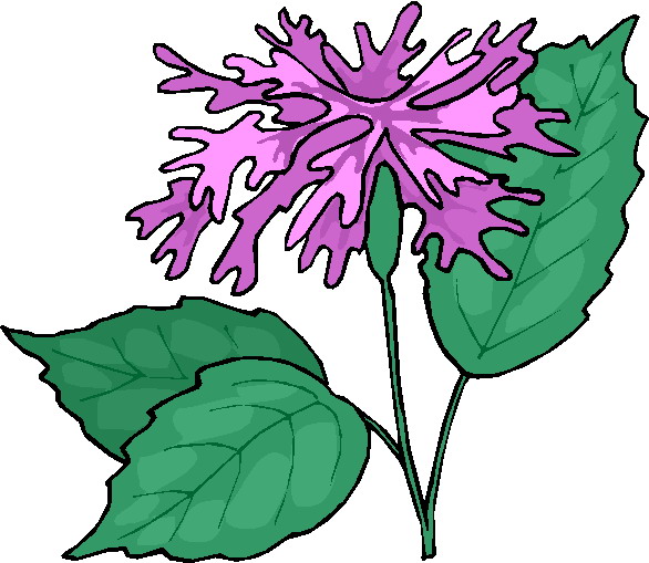 Flowers clip art