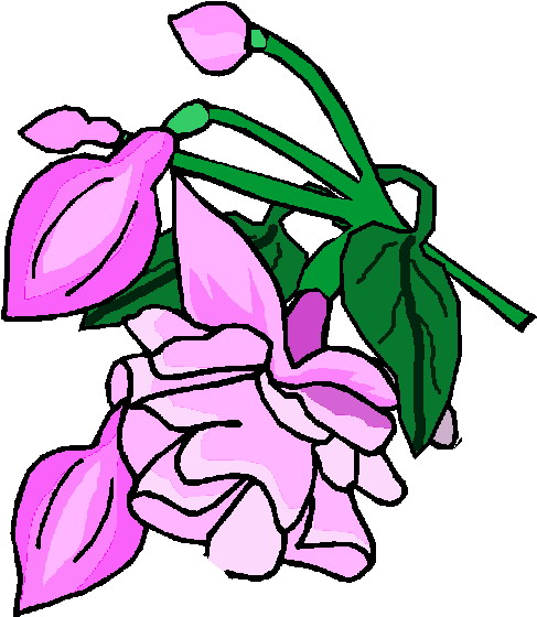 Flowers clip art