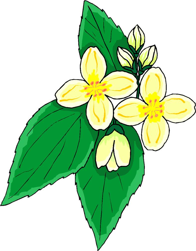 Flowers clip art