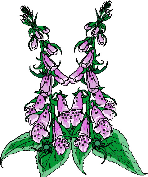 Flowers clip art