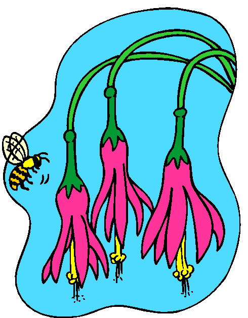 Flowers clip art