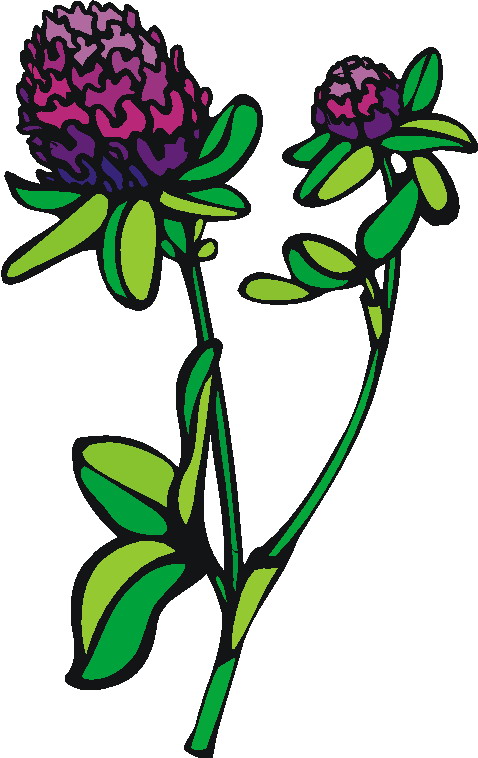 Flowers clip art