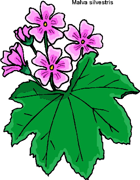 Flowers clip art