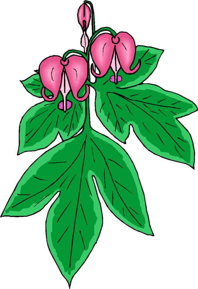 Flowers clip art