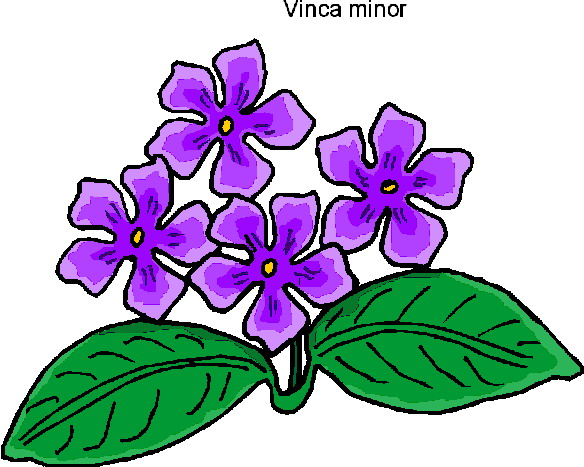 Flowers clip art