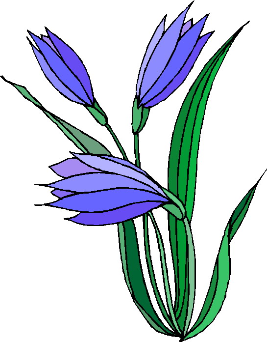 Flowers clip art