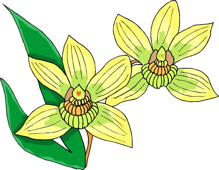 Flowers clip art