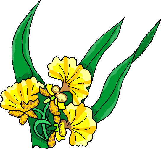 Flowers clip art