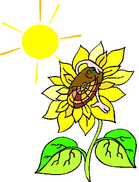 Flowers clip art