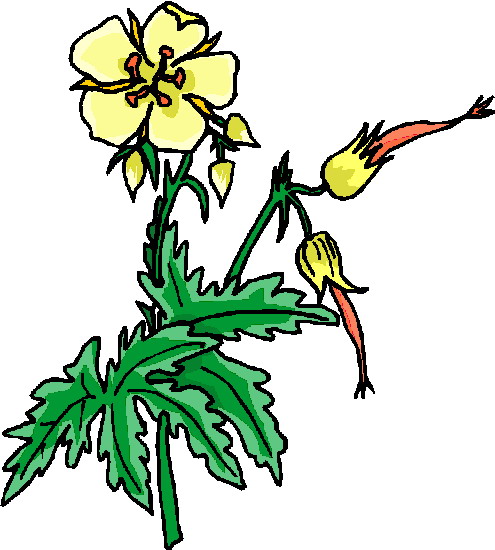 Flowers clip art