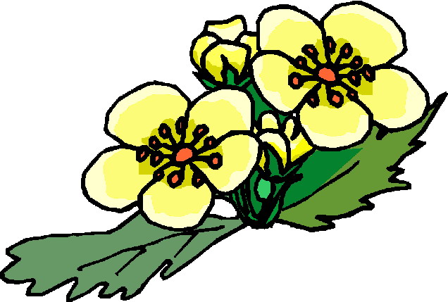 Flowers clip art