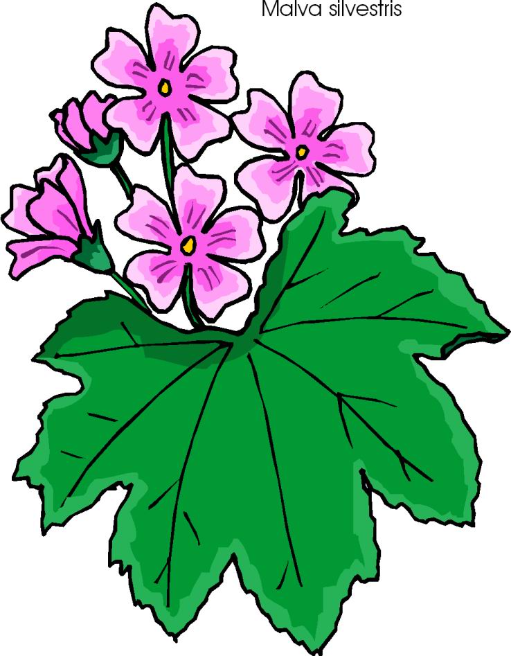 Flowers clip art