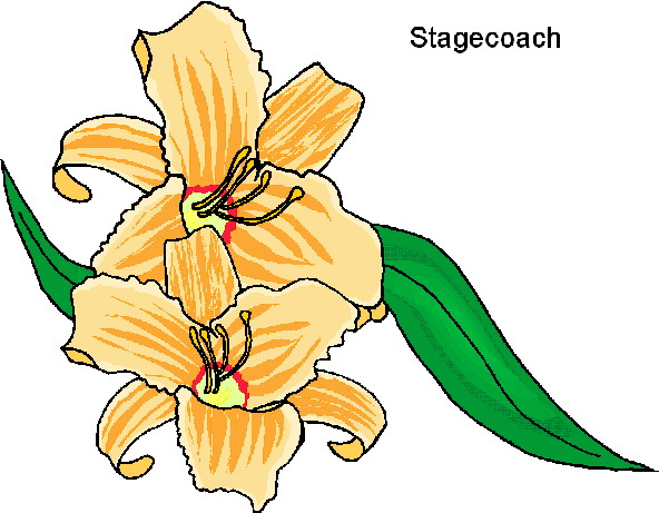 Flowers clip art