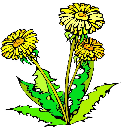 Flowers clip art