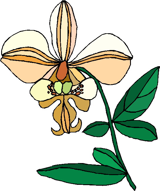 Flowers clip art