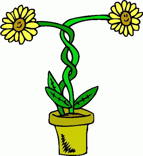 Flowers clip art