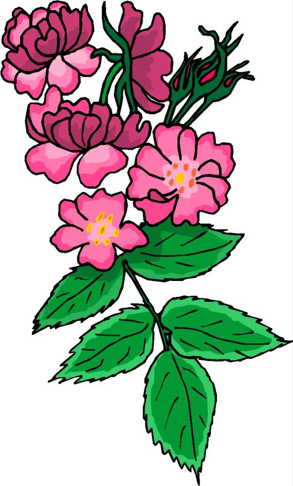 Flowers clip art