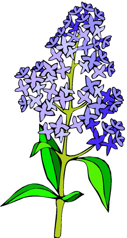 Flowers clip art