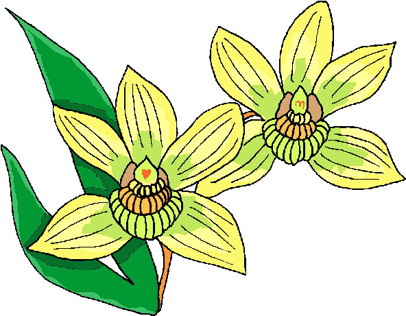 Flowers clip art