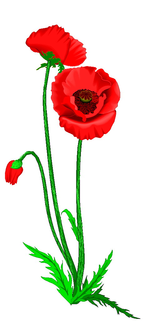 Flowers clip art