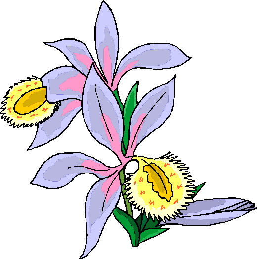 Flowers clip art