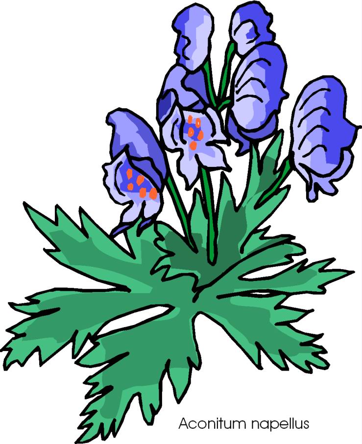 Flowers clip art